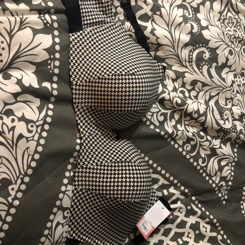 Lane Bryant bra 38DDD